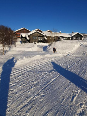 Beitotind 1504